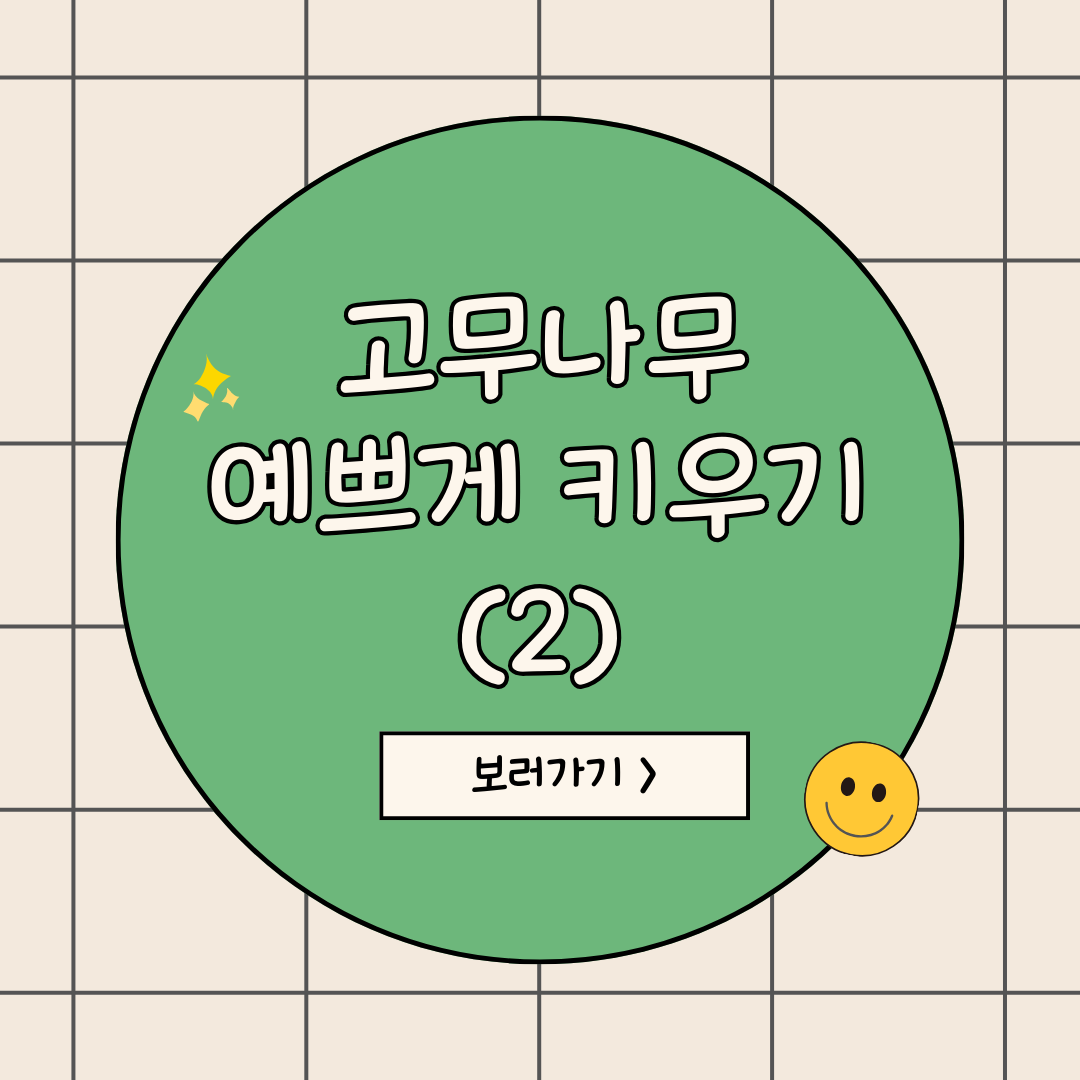 고무나무 키우기