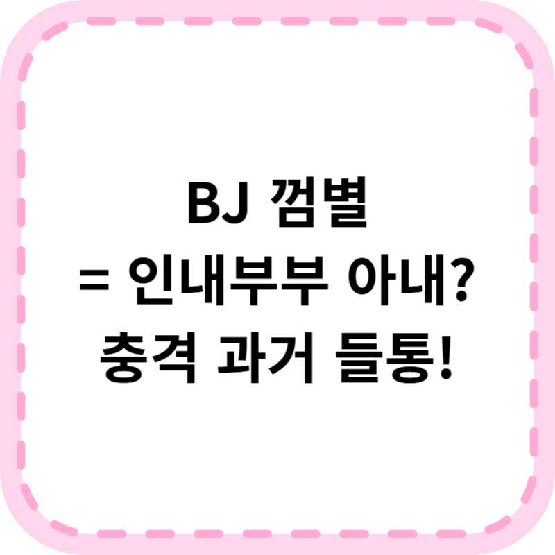 이혼숙려캠프 인내부부 BJ껌별 아프리카 BJ 활동 드러남