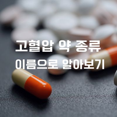 고혈압 약 종류
