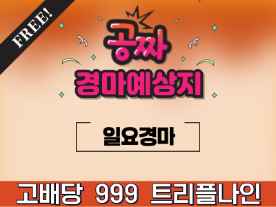 2024년12월8일 트리플나인 일요경마 예상지