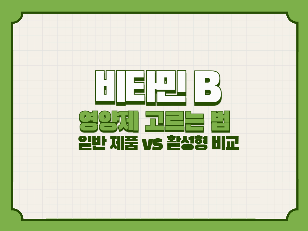 비타민 B 영양제 고르는 법 &ndash; 일반 제품 vs 활성형 비교