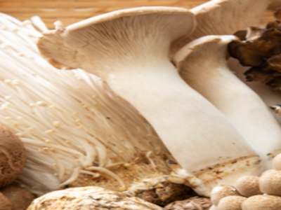 팽이버섯 사진26