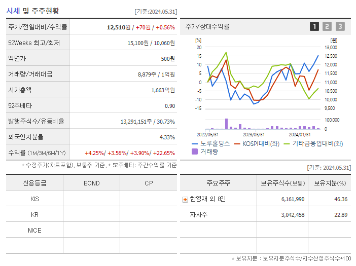 노루홀딩스_기업개요