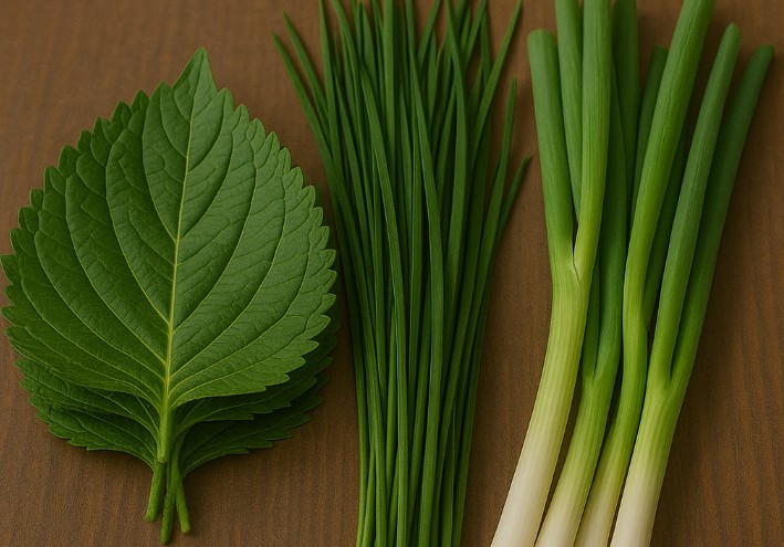 깻잎 부추 파 사진