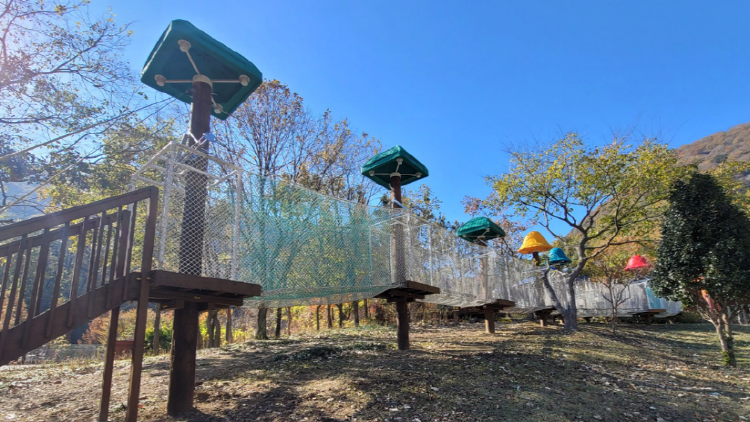 월아산 숲속의 진주