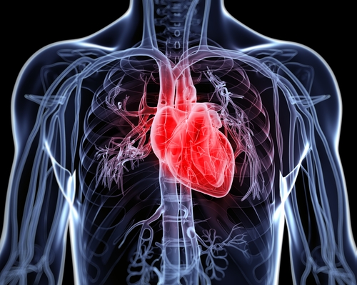 참외 껍질 참외씨 효능 5가지 참외 고르는 방법 1개 칼로리 참외장아찌 담그는 법