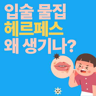 입술 수포의 원인