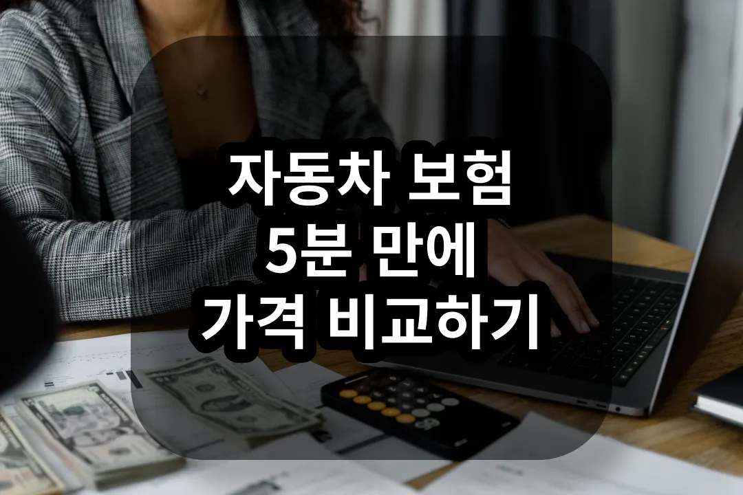 자동차 보험료 직접 비교