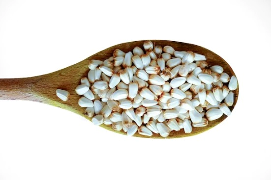 홍화씨 대장암 효능 및 항암효과 