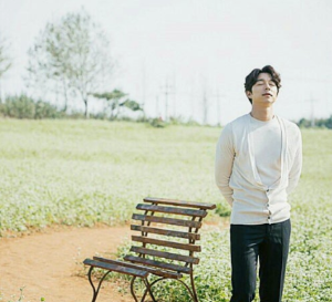 고창 청보리밭 실시간 개화 상황