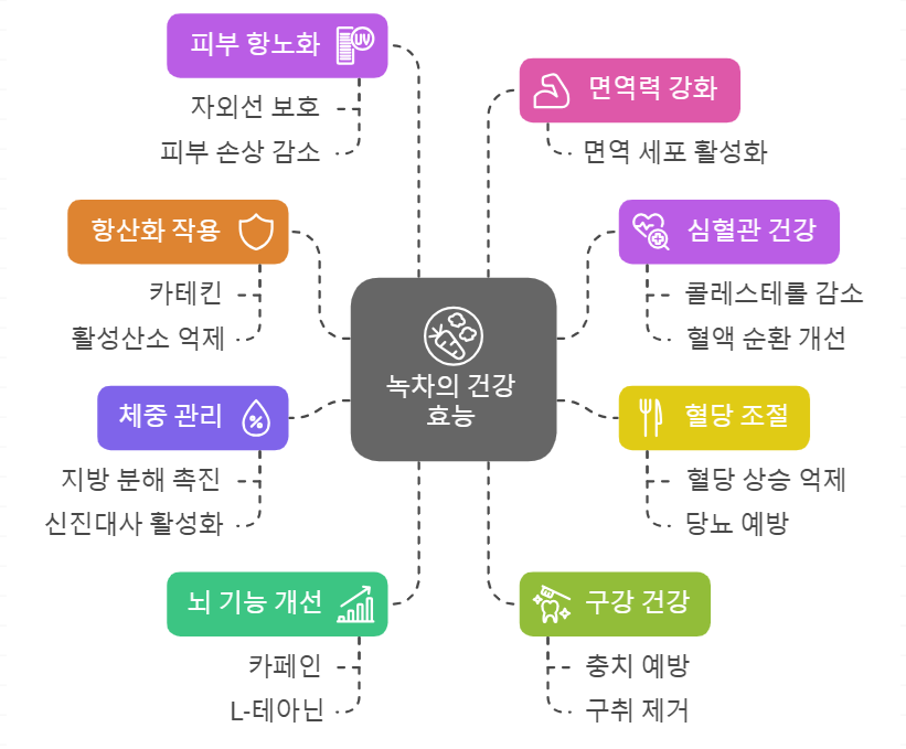 녹차 효능