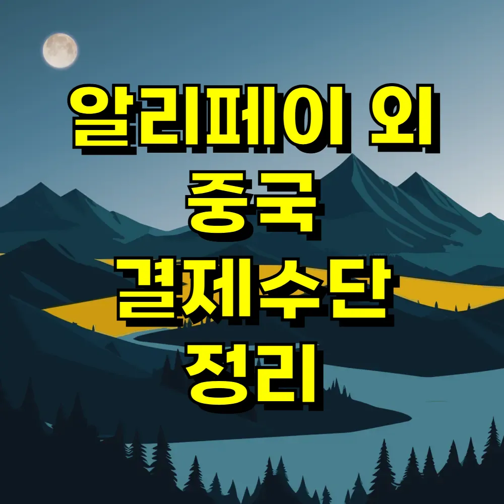 알리페이 외 중국 결제수단 정리