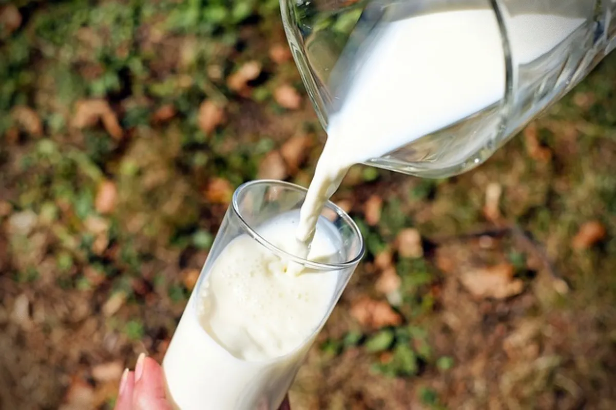 고양이가-먹으면-안-되는-위험한-음식-잔에-따라진-우유