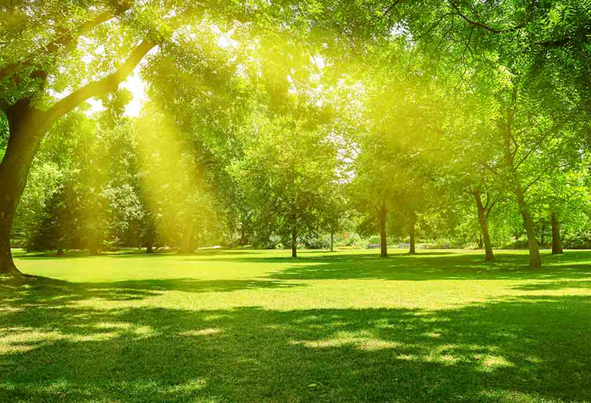 계절의 변화를 세분화한 24 절기 중 '하지' 이해하기