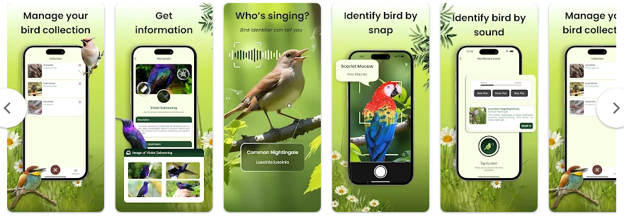 새 이름 찾기 앱, 핸드폰 사진으로 조류 이름 검색, 조류 도감 보기