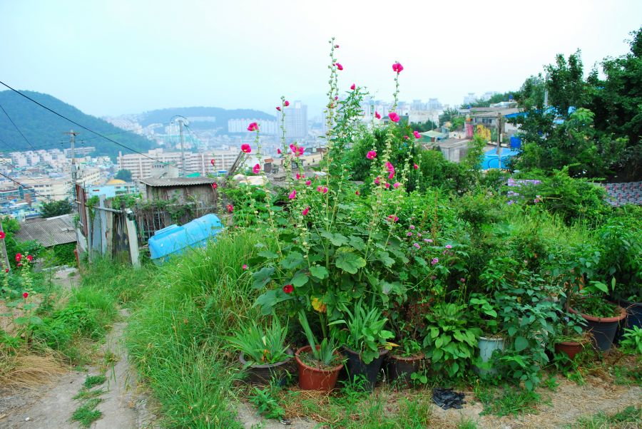 문현동 안동네 벽화마을