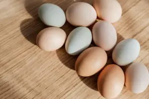 삶은계란 칼로리 효능 다이어트 