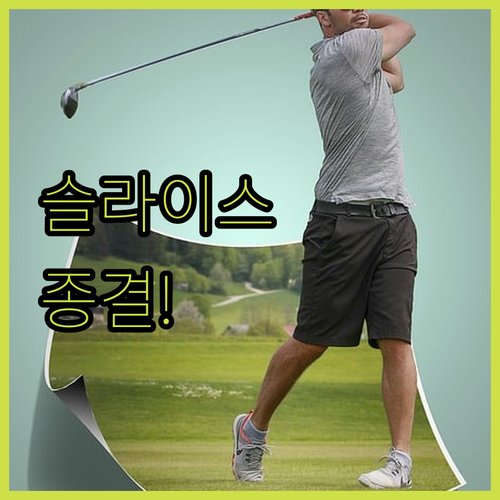 슬라이스 방지 돕는 엑스넬스 볼프 에..
