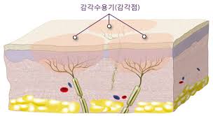 피부 가려움증