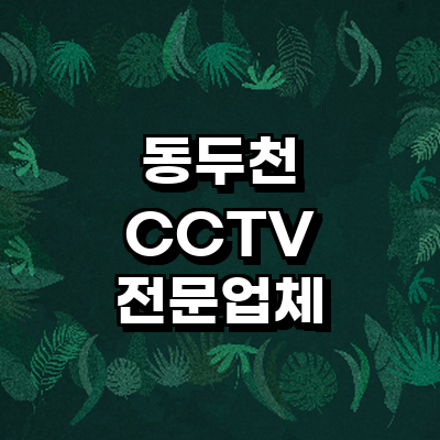 동두천시 cctv