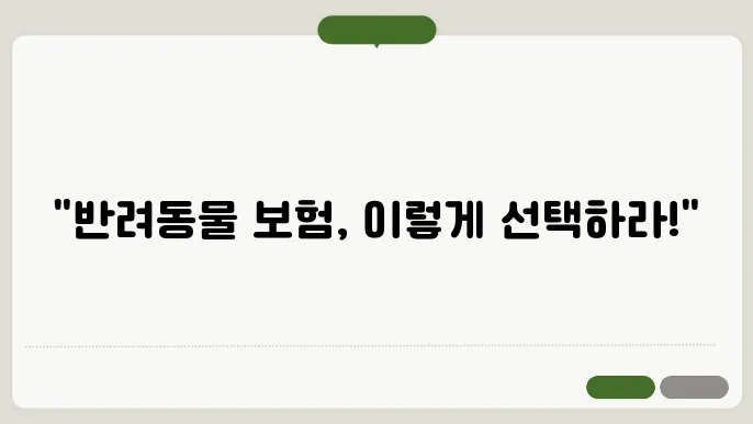 추천하는 반려동물 보험 브랜드