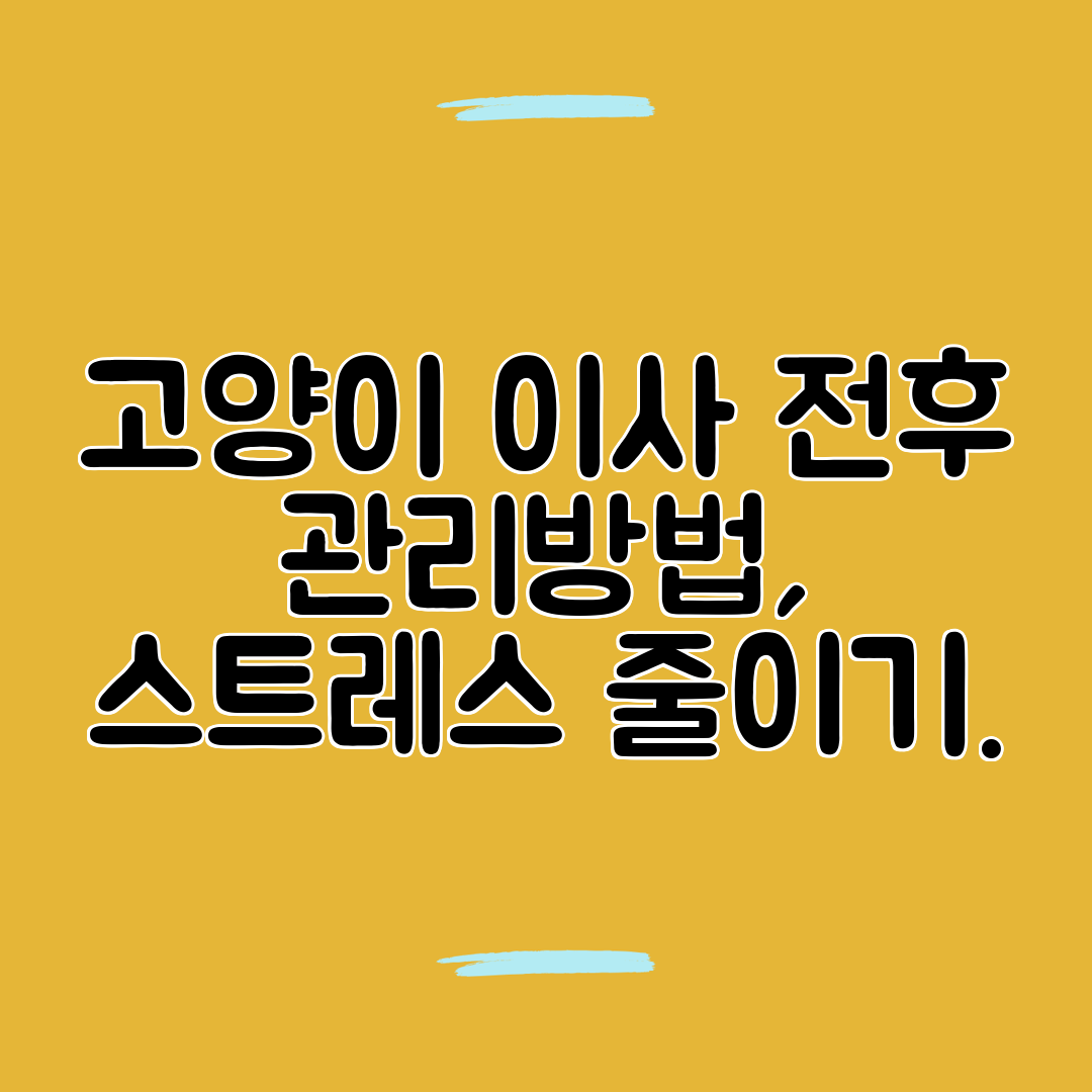 고양이 이사 전후 관리방법, 스트레스 줄이기.