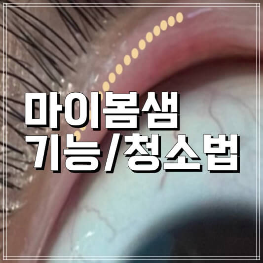 마이봄샘 기능/청소법