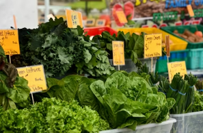 봄나물 장기 보관 마스터: 데친 취나물·쑥·냉이 향긋함 살리는 얼음 큐브 소분 팁