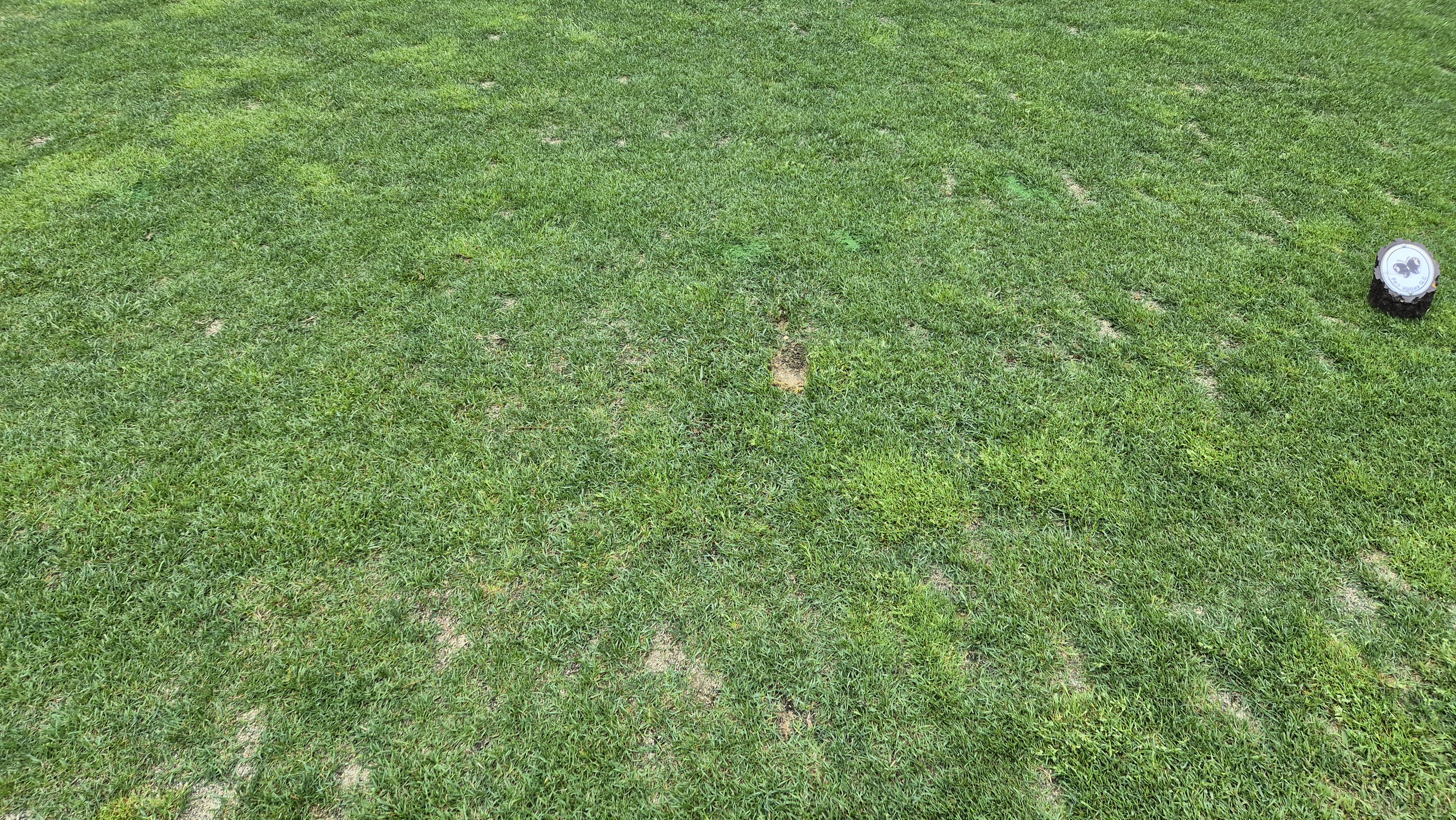 파크밸리gc 라운드 후기