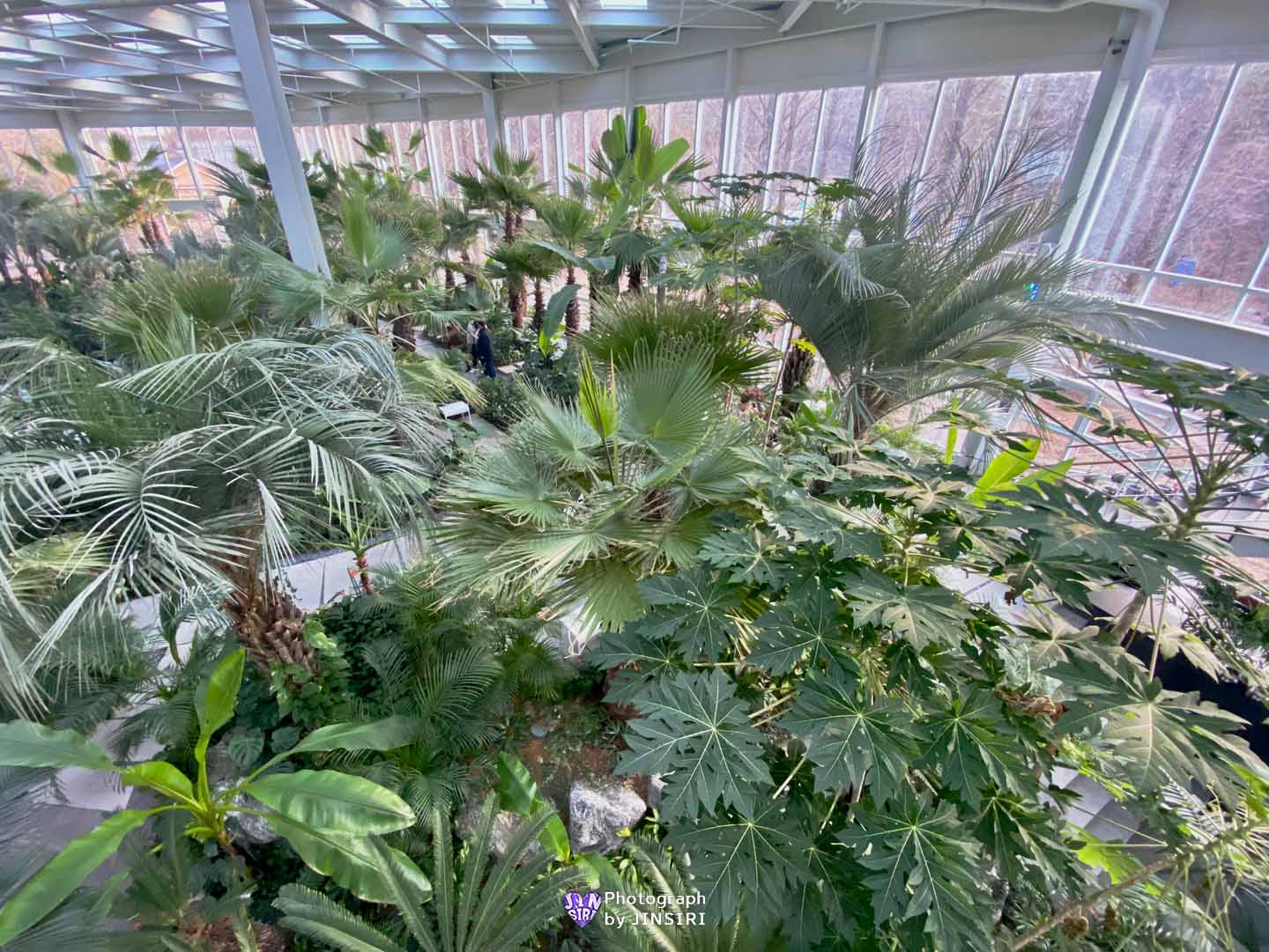 ๊ฒฝ๊ธฐ๋ ํ์ฃผ ๋ํ ์๋ฌผ์ ๋ฒ ์ด์ปค๋ฆฌ ๋ธ๋ฐ์น ์นดํ ์์ธ๊ทผ๊ต