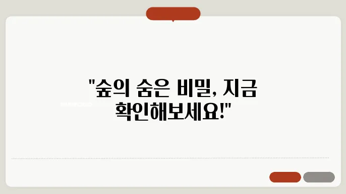 산림공간정보서비스 홈페이지 https://map.forest.go.kr/