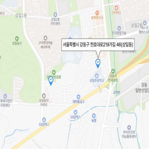 서울특별시 강동구 천호대로219가길 46(상일동)