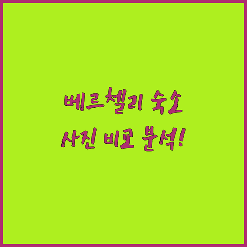이탈리아 베르첼리 숙소 추천 5곳 위..