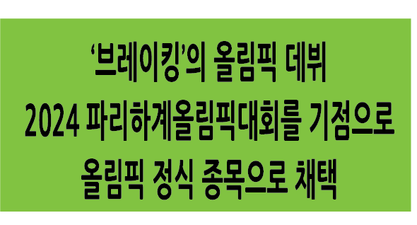 Alt 속성 문제 해결 설명 이미지