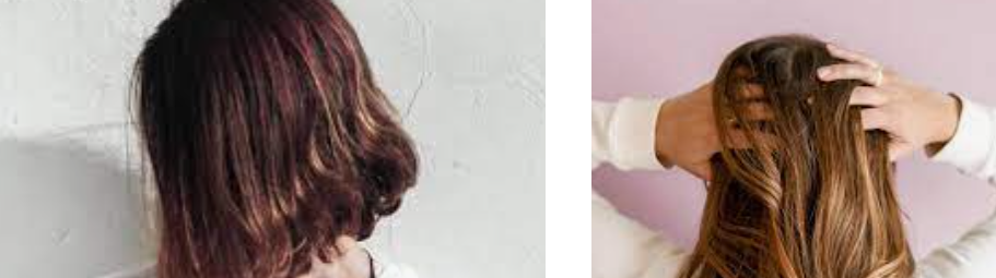 머리카락이 자라는 이유를 알려주기 위한 모습