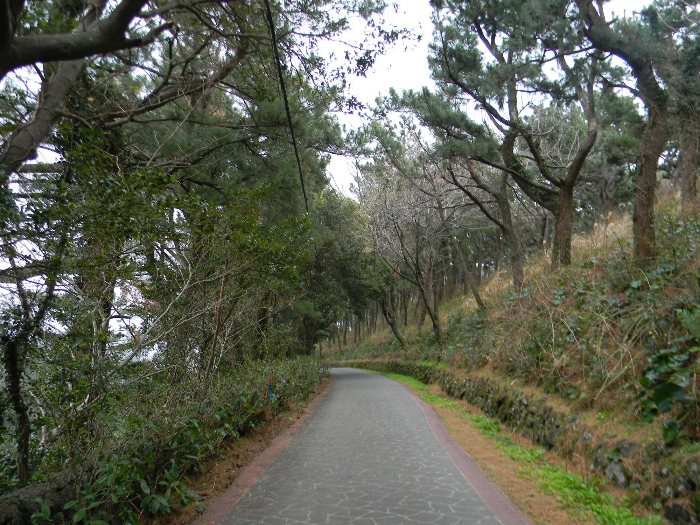삼매봉 산책로 (제주올레길7코스)