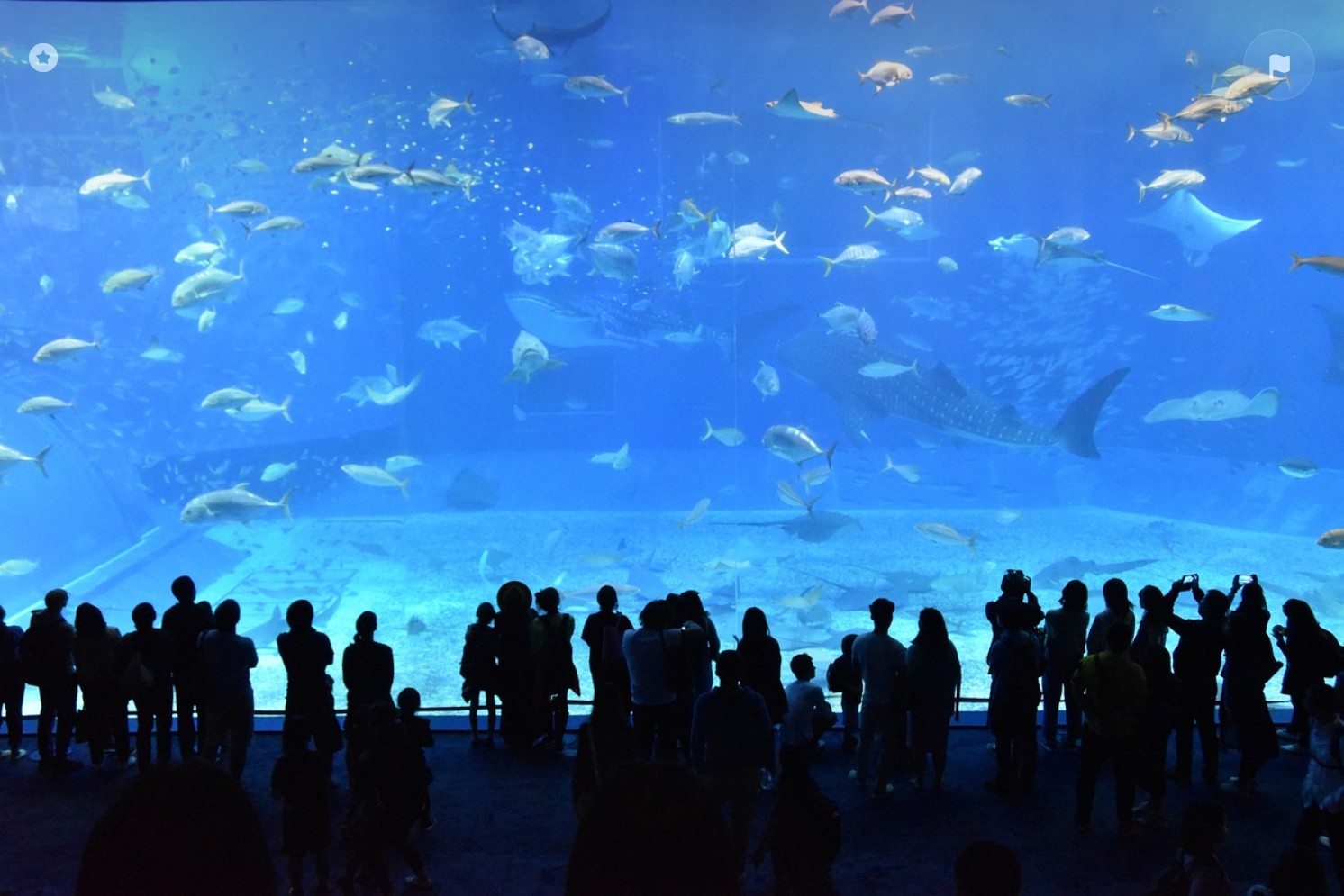 남국의 낙원, 오키나와 여행기: 음식과 명소, 그리고 이색 문화의 매력