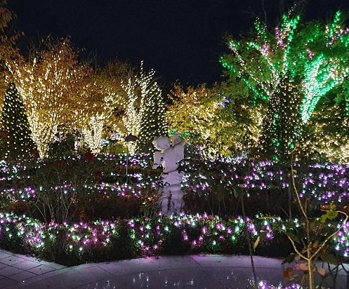 퍼스트가든-야간-조명