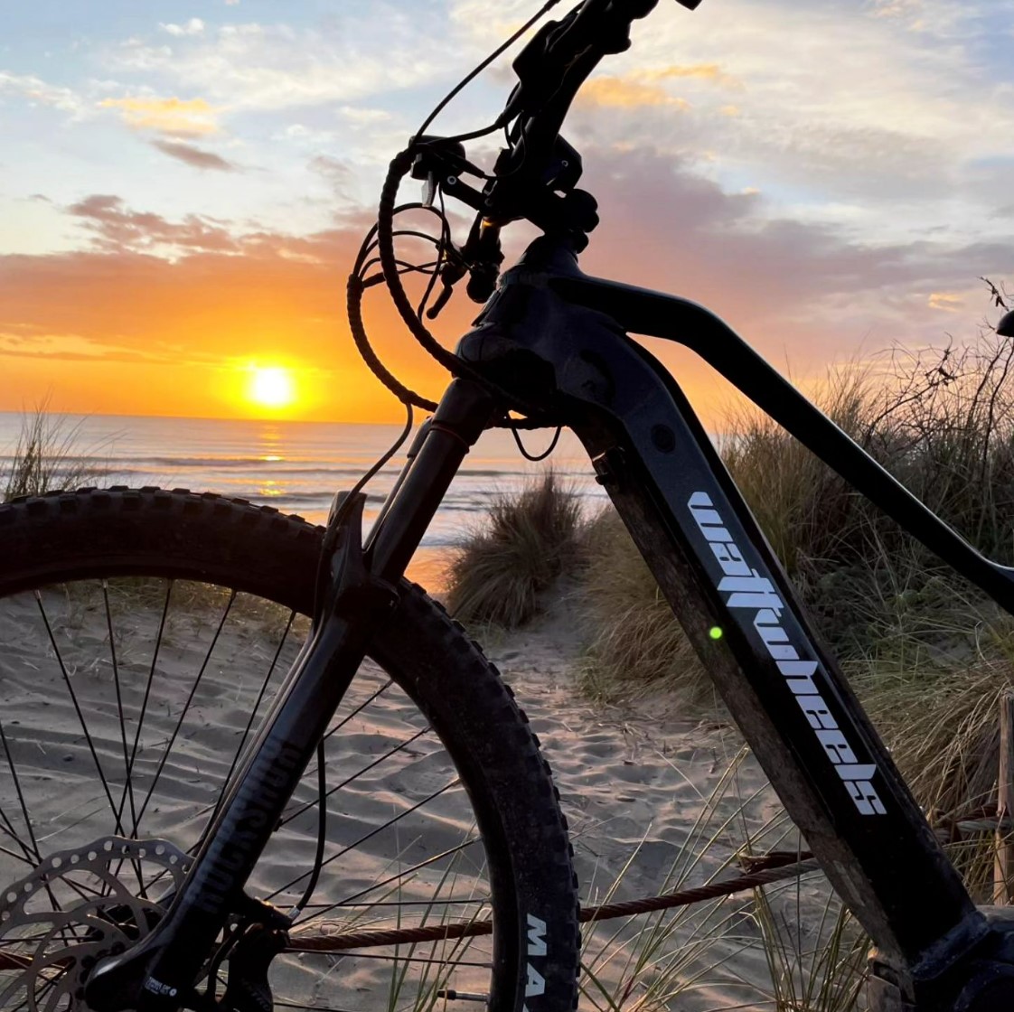 00. Wattwheels eBikes 홈피컷03