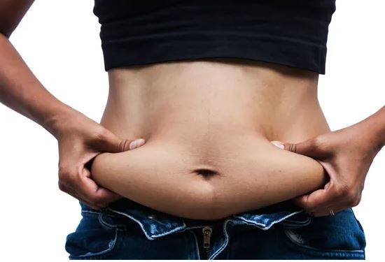 체지방률-정상범위