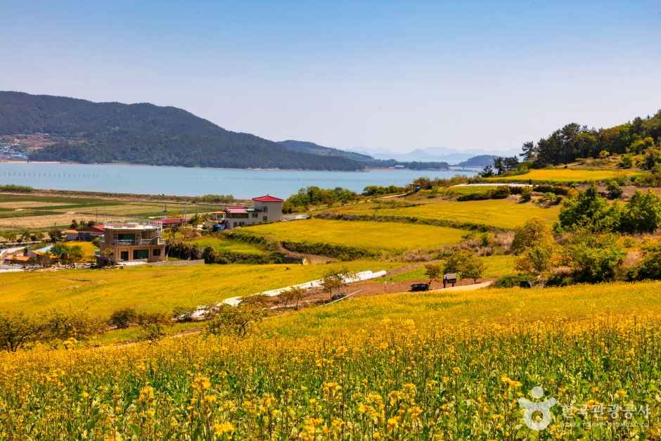 장흥 선학동마을