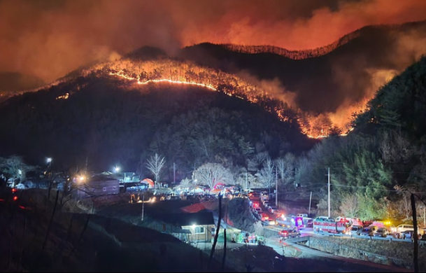 국가유공자 산불 피해지원 관련 사진