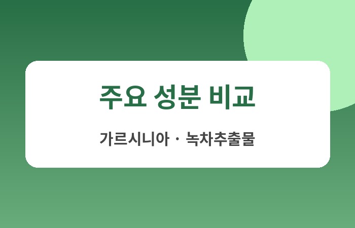 다이어트 보조제 순위