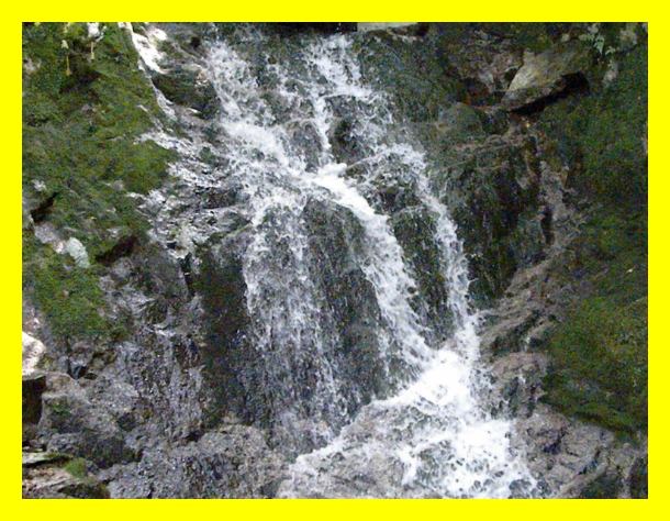 국립자연휴양림 예약방법&amp;#44; 여름휴양지 추천&amp;#44; 자연휴양림 2025 예약&amp;#44; 국립휴양림 성수기 추첨일정&amp;#44; 국립휴양림 객실 선택&amp;#44; 국립휴양림 추첨 결과 확인&amp;#44; 국립휴양림 성수기 정리&amp;#44; 국립휴양림 여름캠프