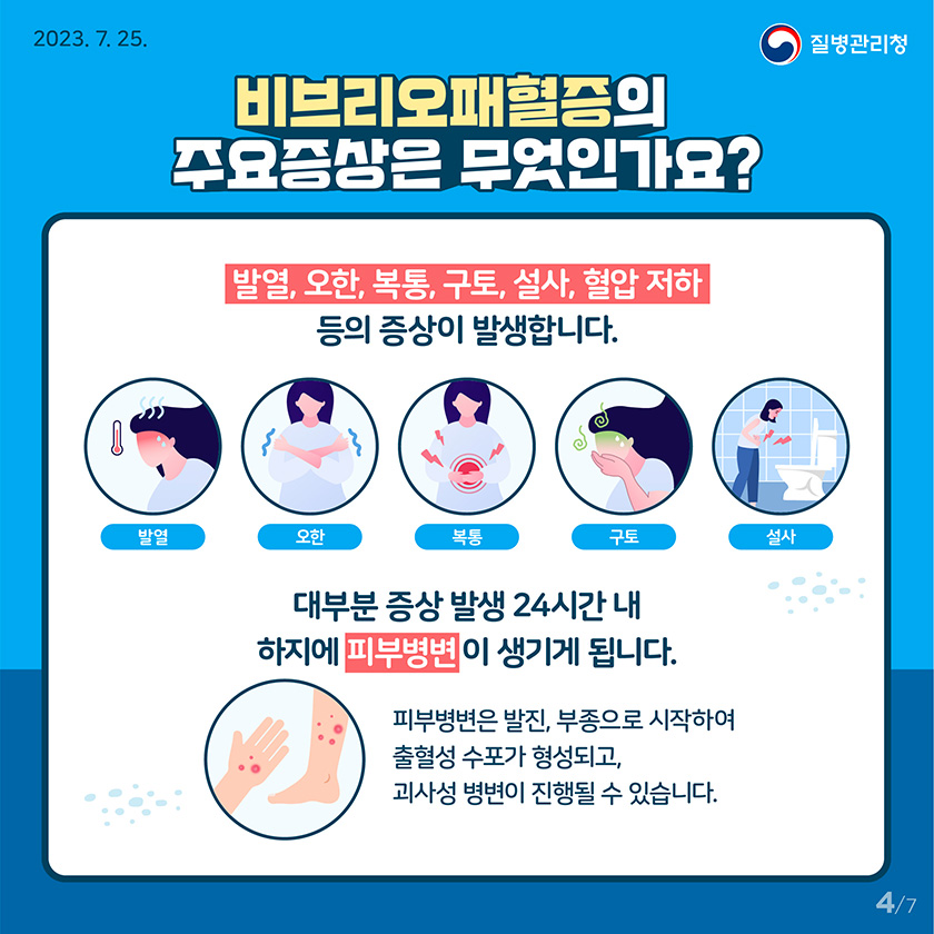 비브리오패혈증 감염증상
