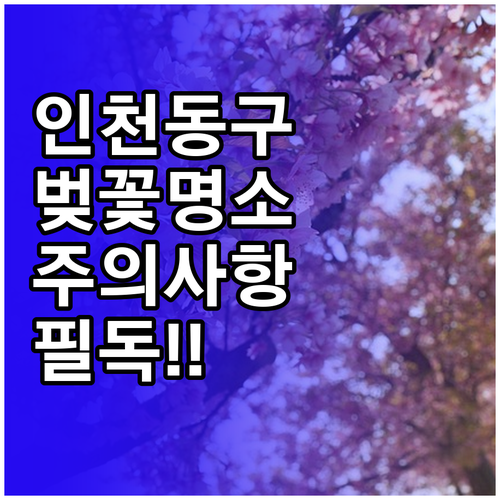 인천 동구 벚꽃 구경하기 좋은 곳과 ..