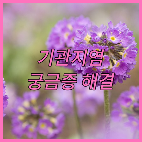 만성 기관지 질환 FAQ, 궁금증 해..