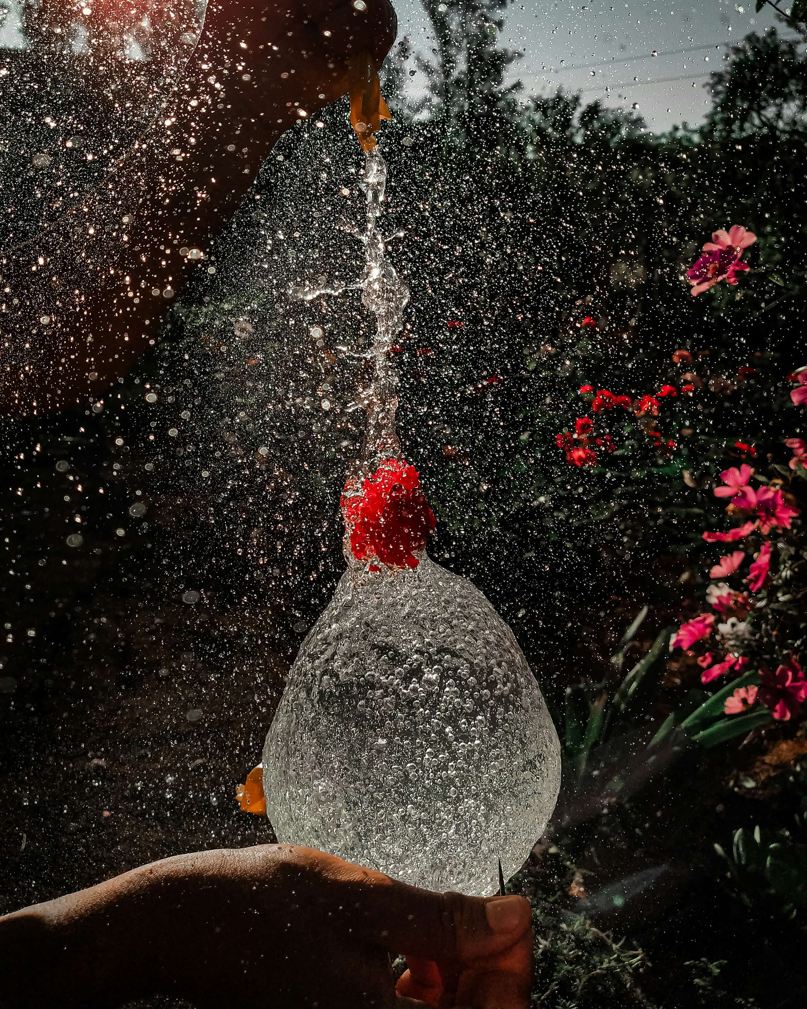 2025 워터밤 서울