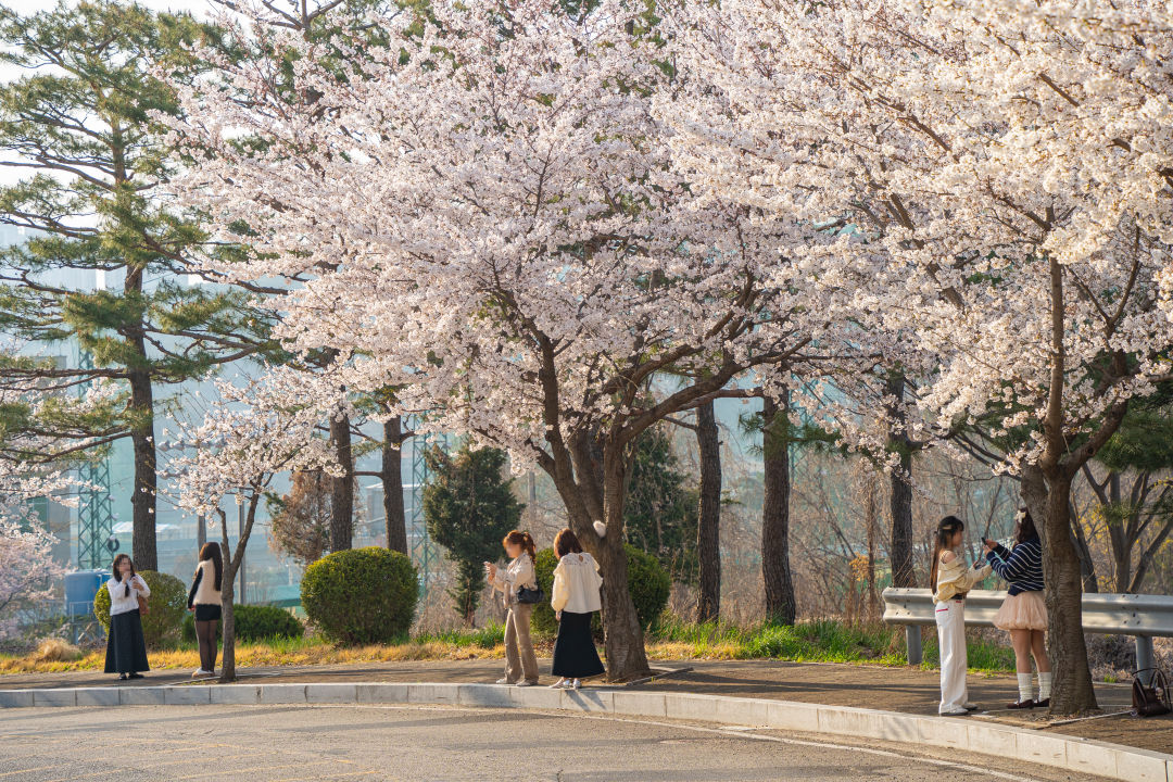 장안대학교 캠퍼스