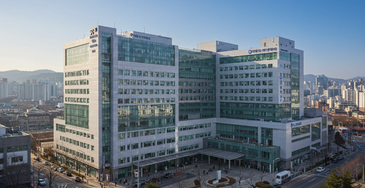 대한민국에서 자궁체부암 치료 잘하는 병원 TOP 10, 질병코드